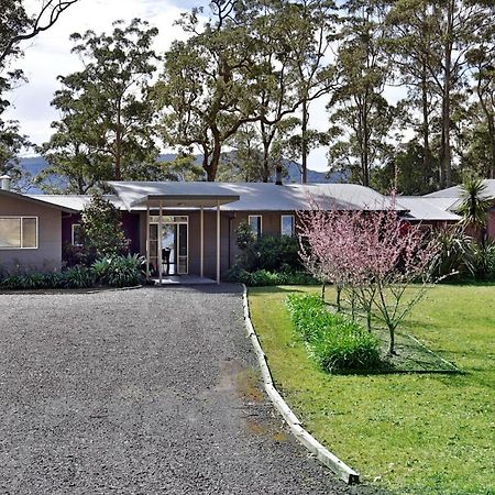 Cherrywood - A Modern Australian Bush Home Berry Exterior photo